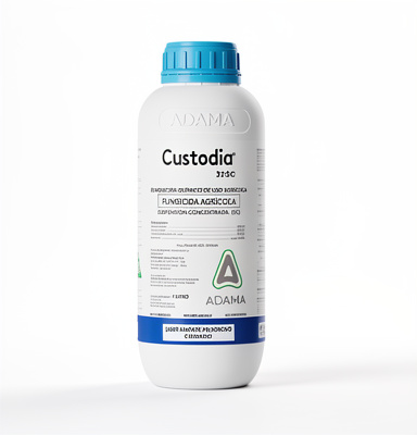 CUSTODIA
