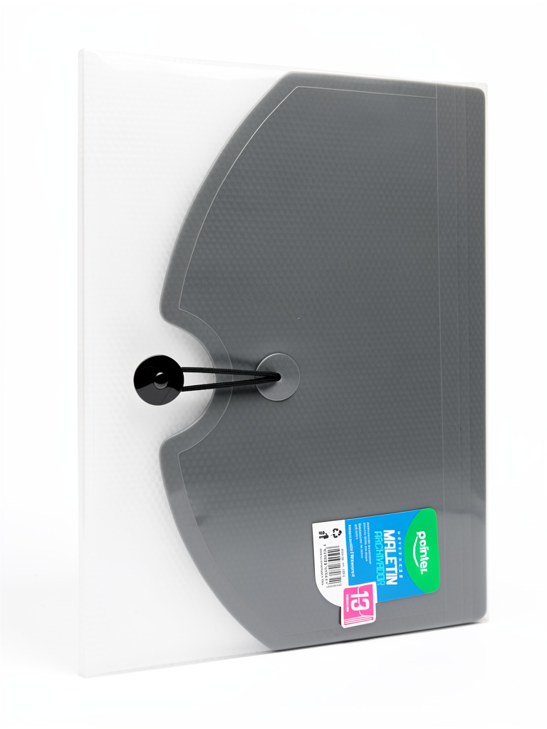 Carpeta Acordeon plástico