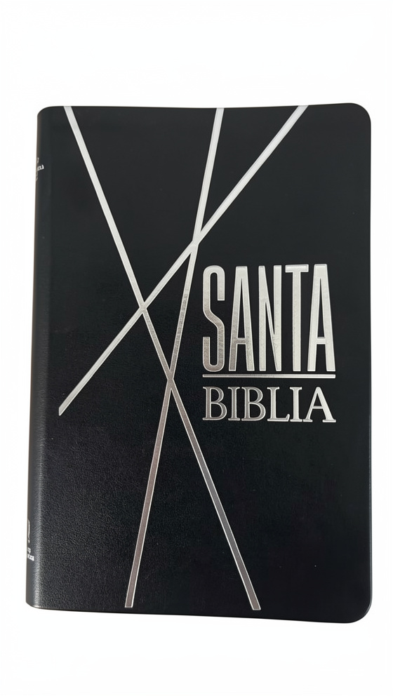 Biblia Negra canto gris