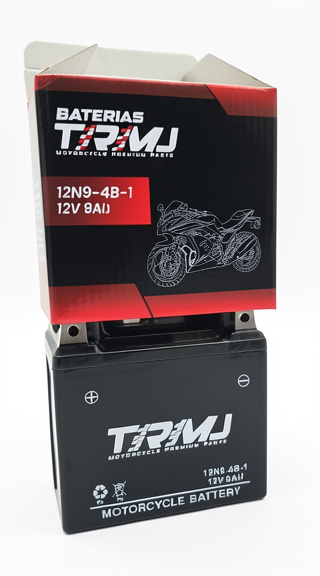 BATERIA 12N9-4B-1 - TRMJ