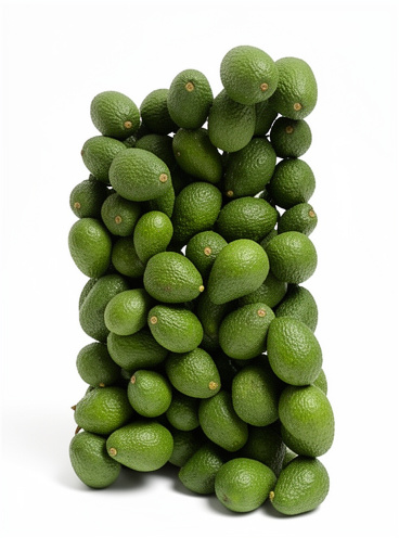 Aguacate segunda