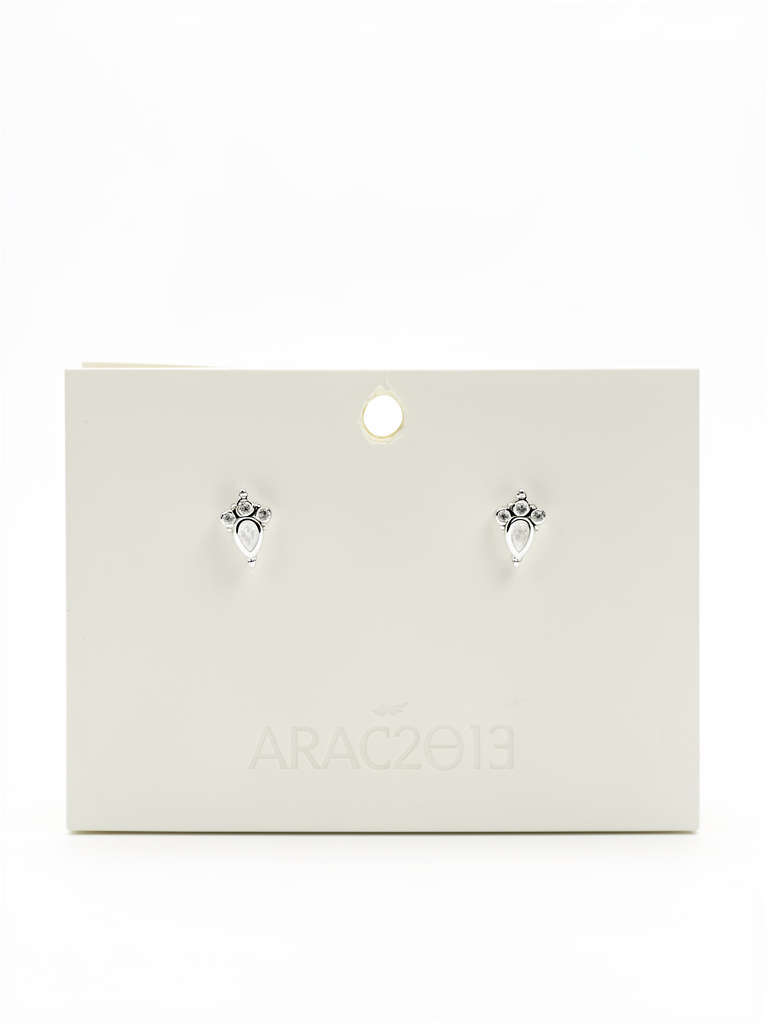 ARAC203002
