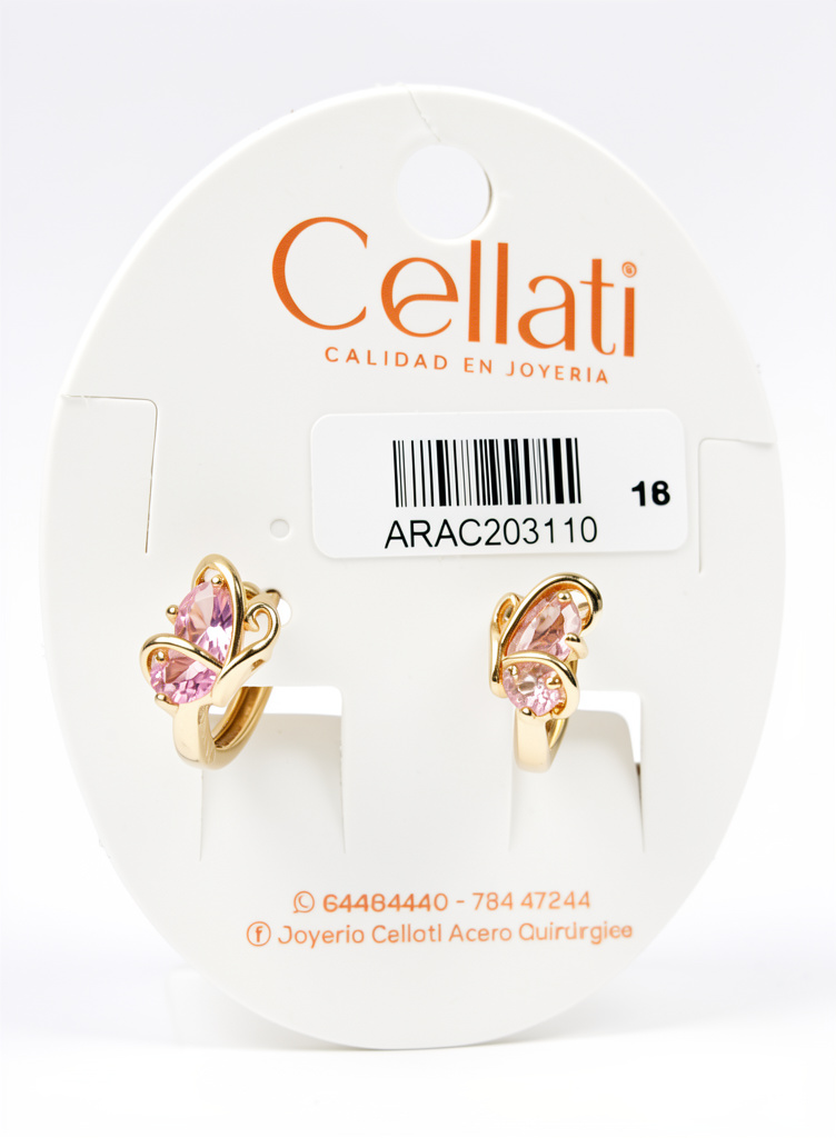 ARAC203110