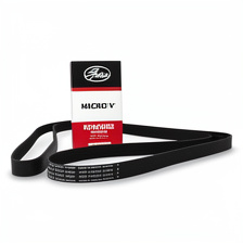 Banda GATES MICRO-V K060882 6PK2243