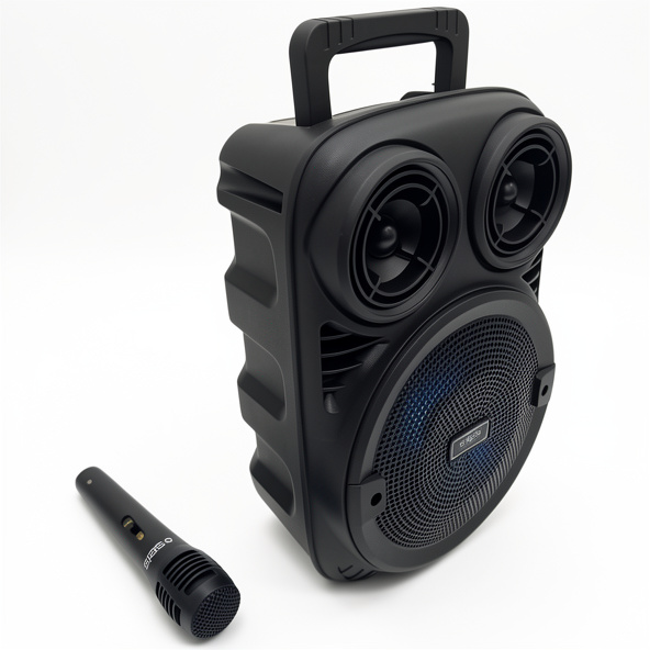 PARLANTE CON BT + Micrófono 800W SEIS MEGABOOM