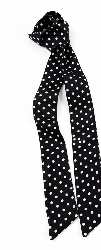 Mascada negra Polka