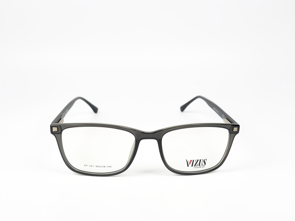 VIZUS 2