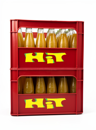 JUGO HIT BOTELLA 250 x 30