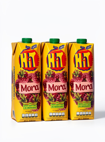 JUGO HIT LITRO x 12