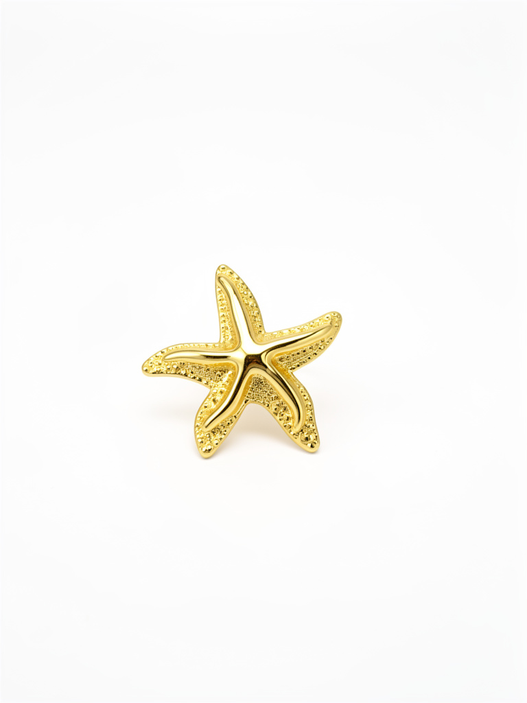 Botón estrella mar 1