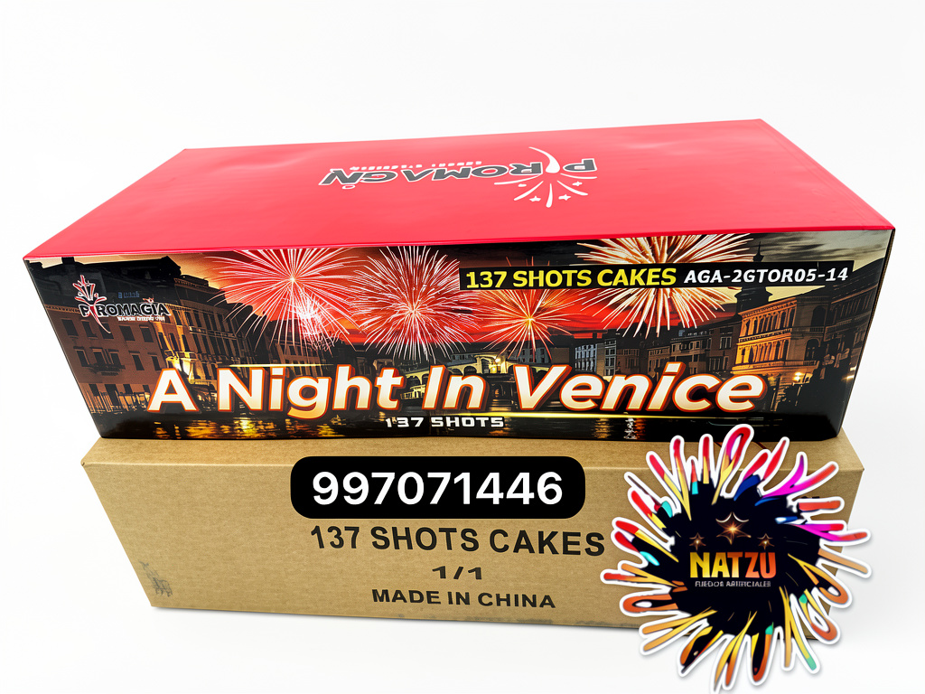 137 Night in venice