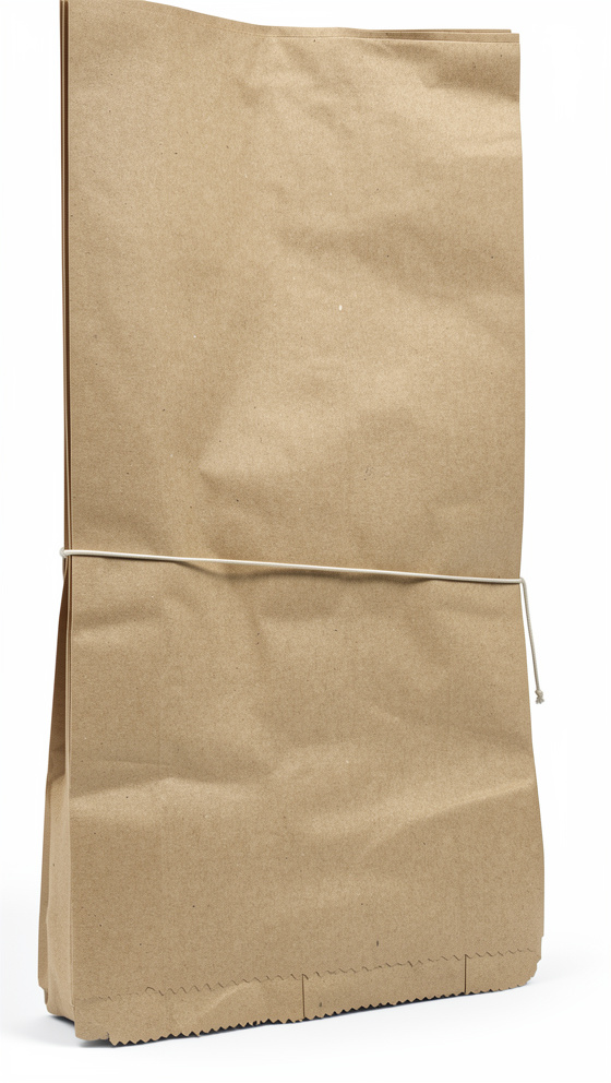 bolsa de papel 12 libra