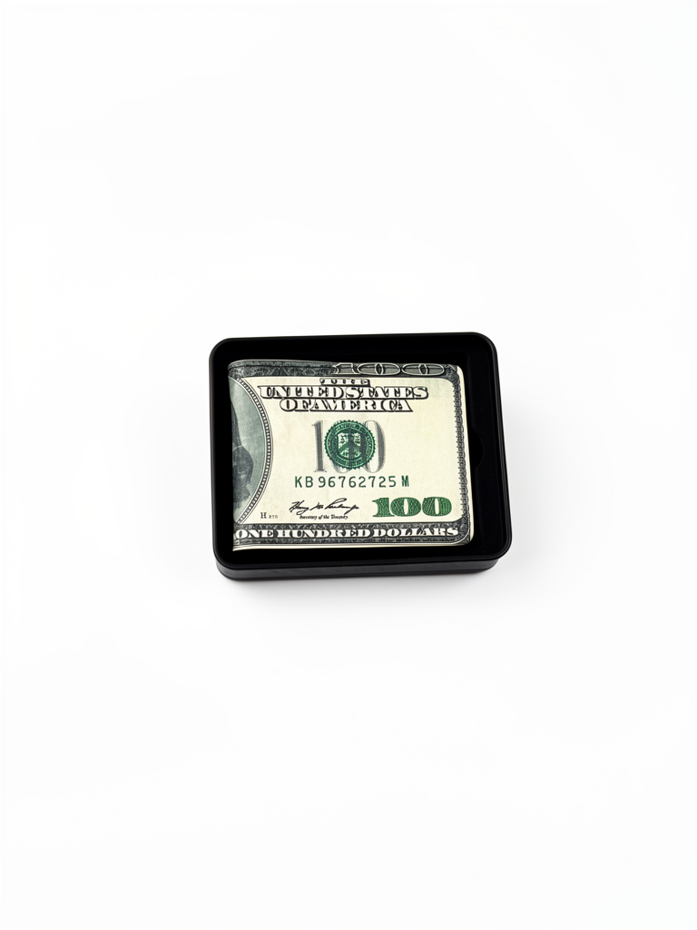 Cartera 100 Dólar
