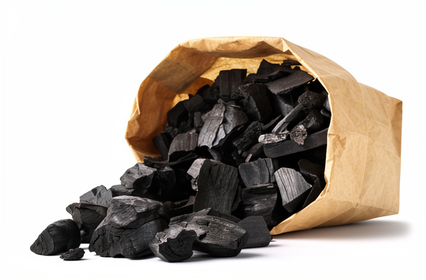 LIBRA DE CARBON