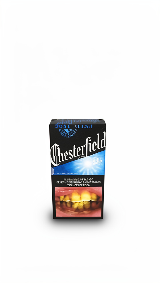 Chesterfield convertible 10