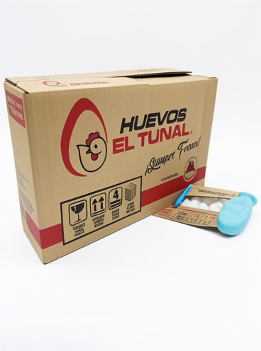 Huevos el túnal