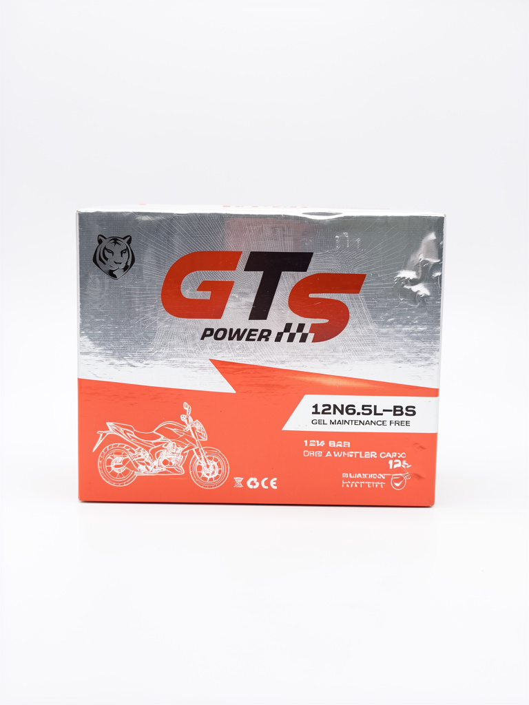 BATERIA 12N6.5LBS GTS ASIA HERO CARGO 125, FT125, 125Z, MRT200