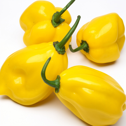 AJI ANDINO