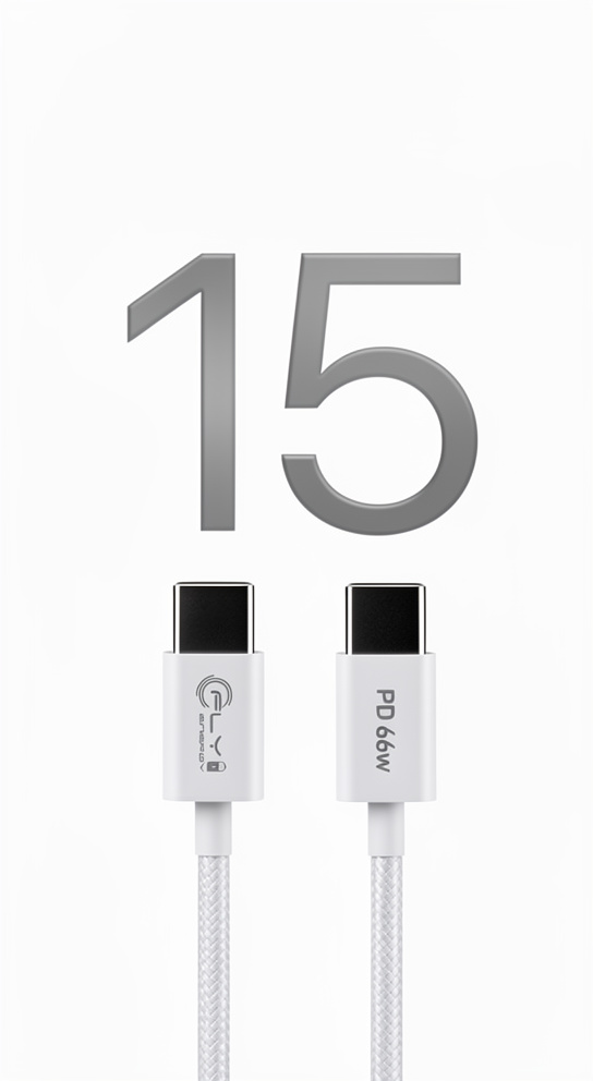 cable de carga PD 66W