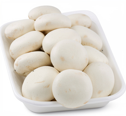 CHAMPIÑON BLANCO SETA CIELO X500G