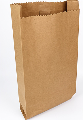 BOLSA PAPEL X6 LIBRAS