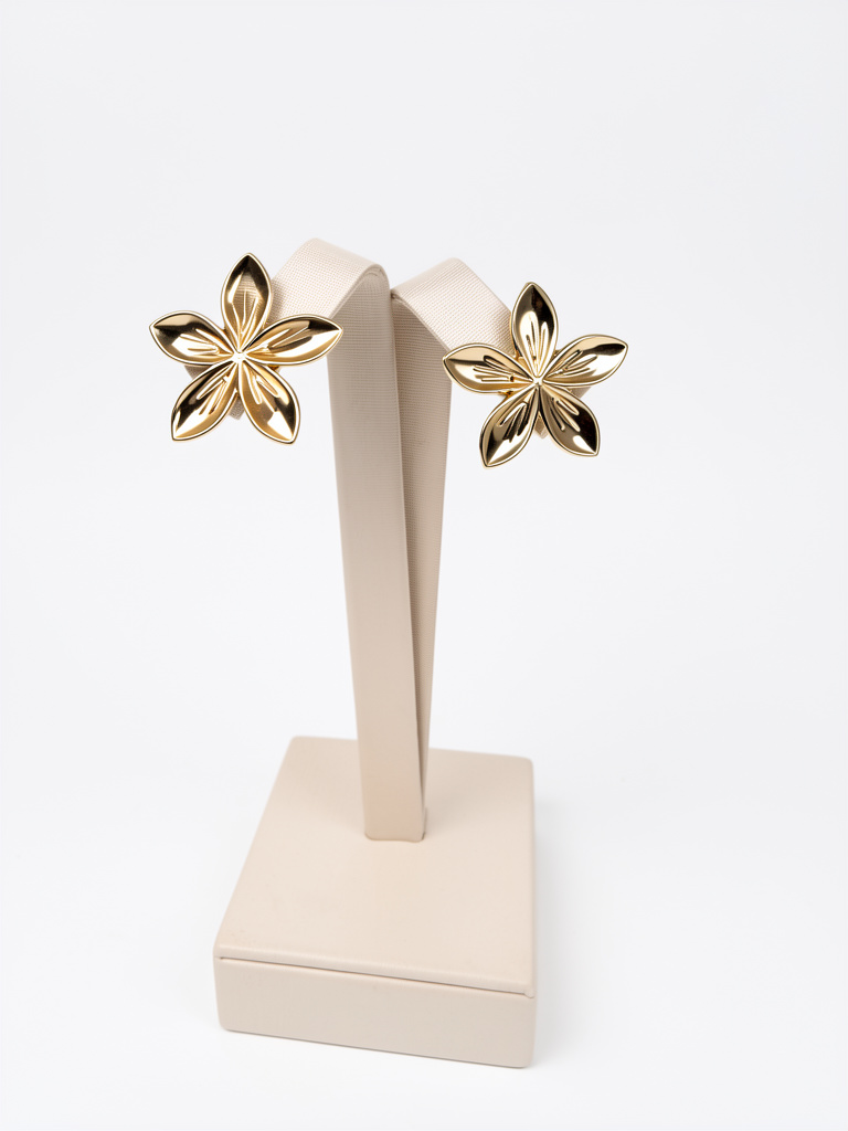Aros flor plumería