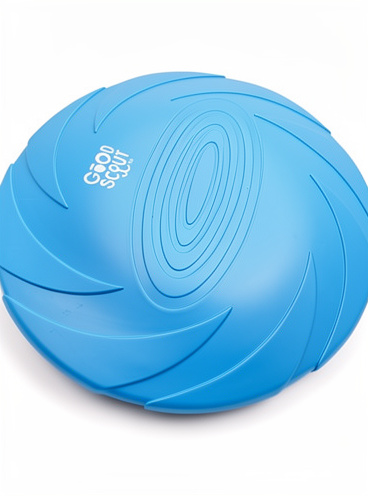 Frisbee azul