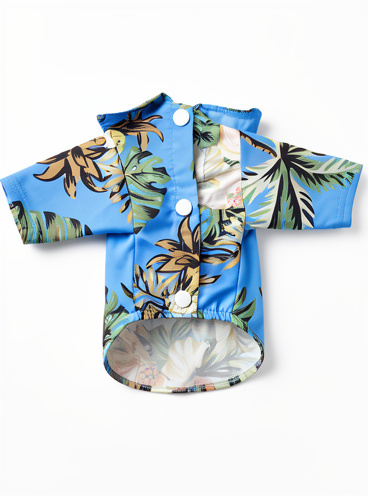 Camisa xs