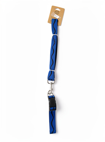 Correa con collar