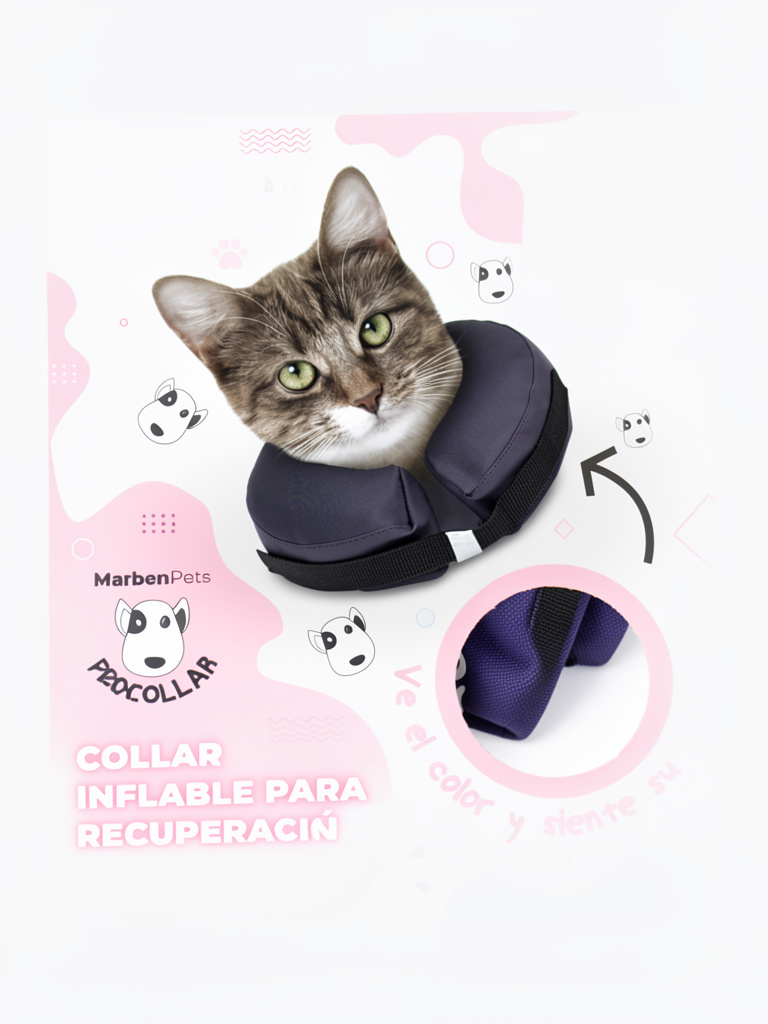 Collar inflable XS