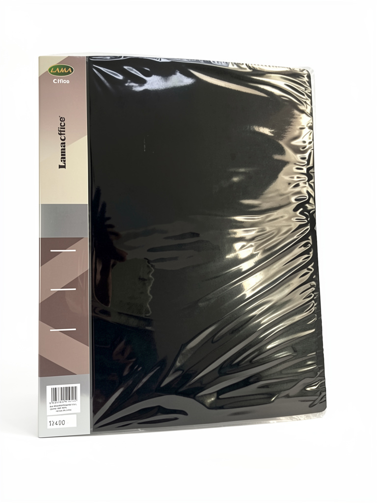 CARPETA LAMA C/FOLIOS X10 A4