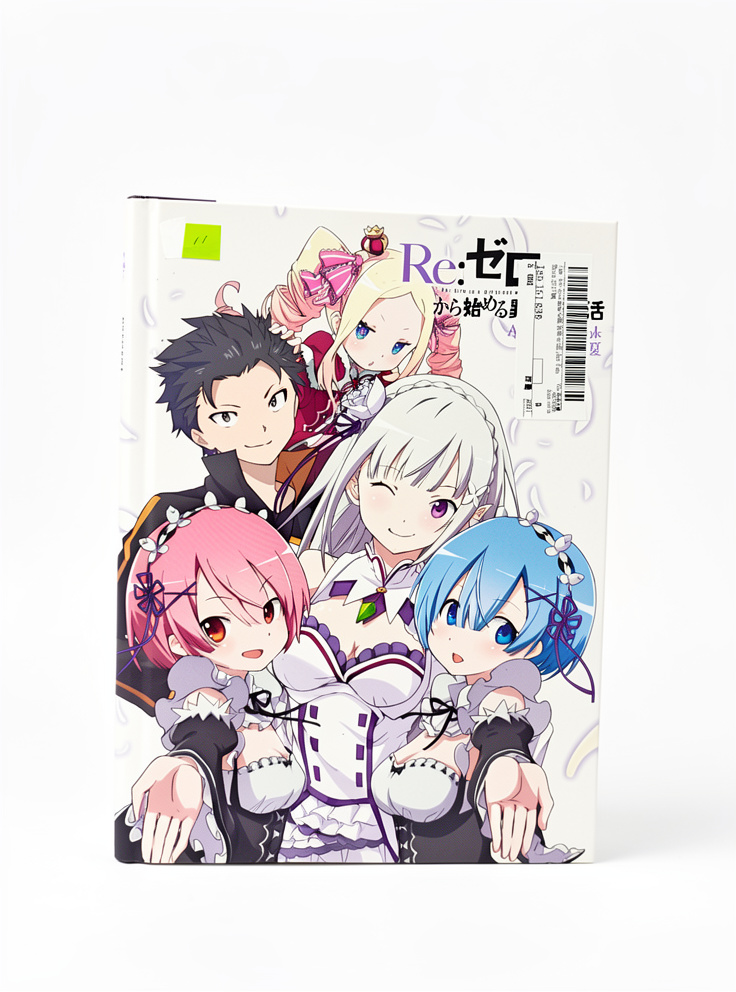 RE ZERO ART FAN BOOK