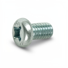 TORNILLO JISS 6X10