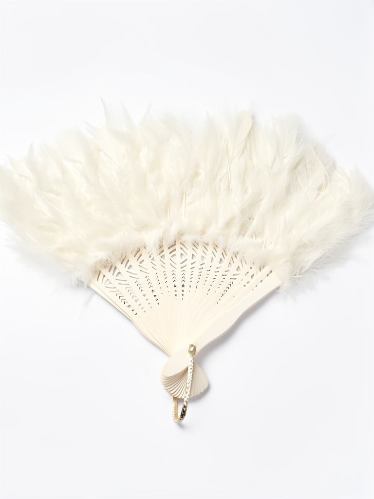 Abanico de pluma