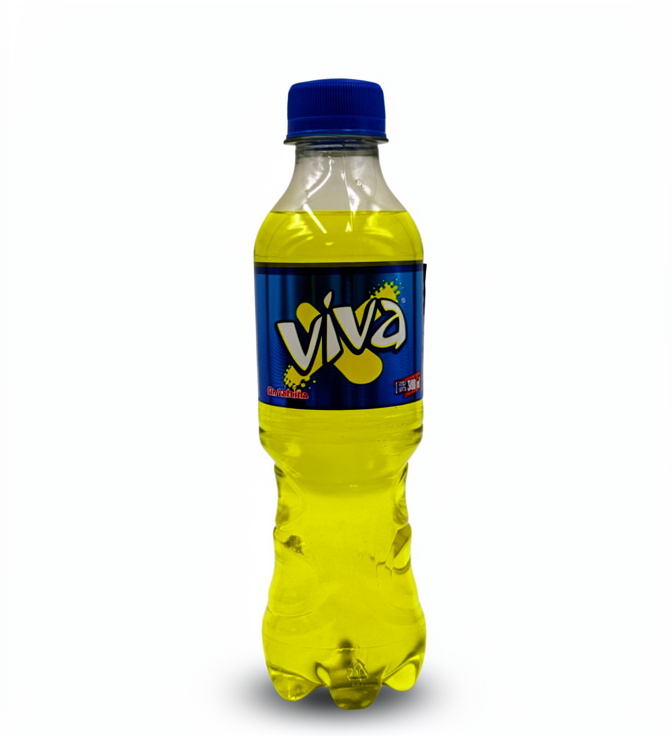 Gaseosa Viva 300ml