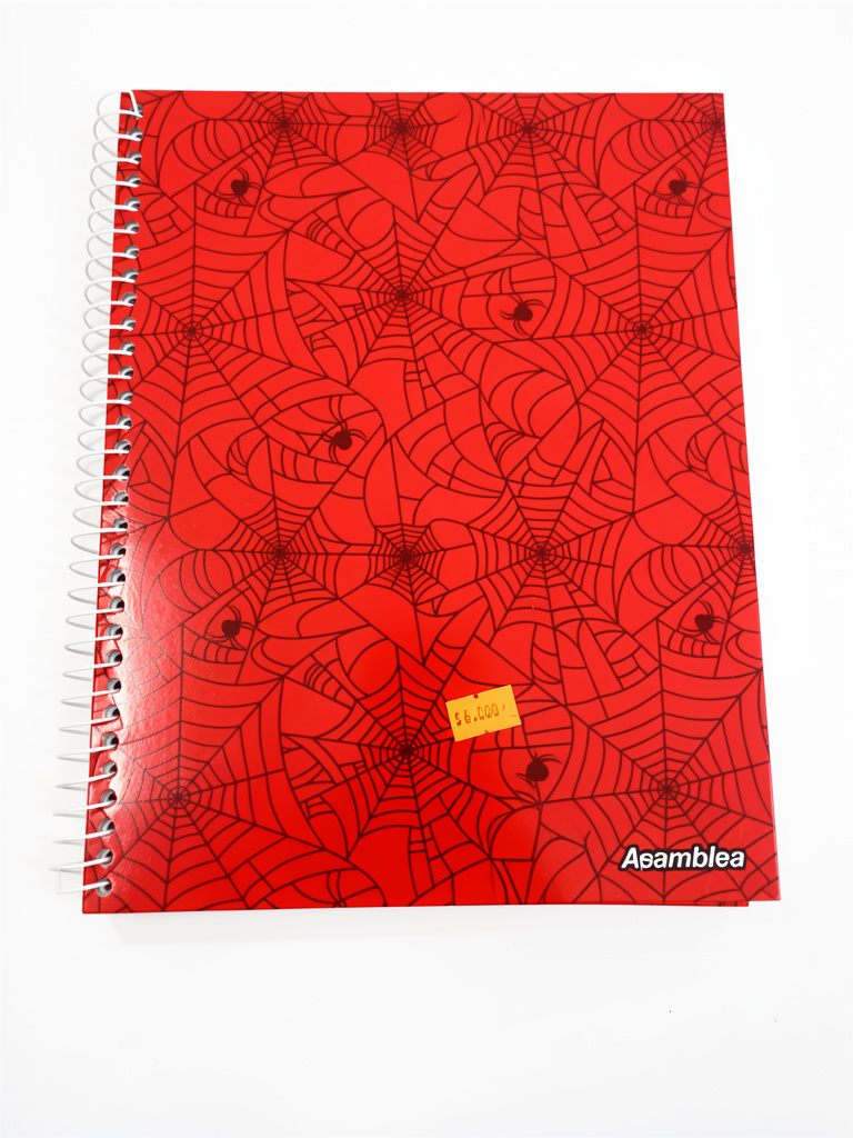 Cuaderno asamblea