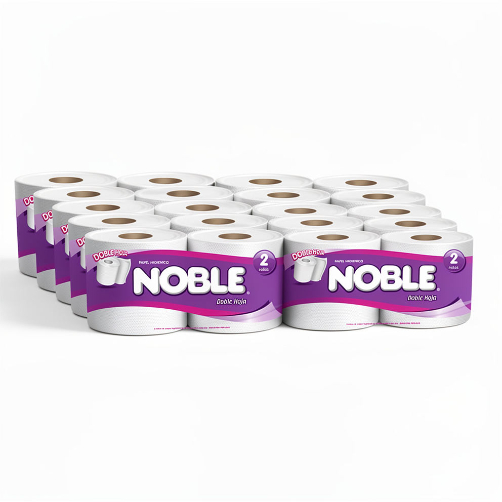 PLANCHA PAPEL NOBLE MORADO