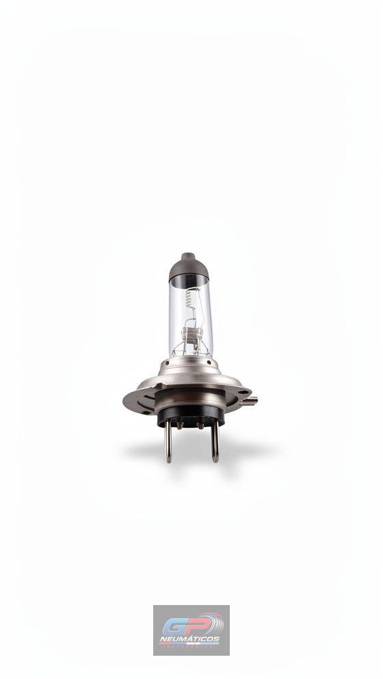 H7 24V 70W