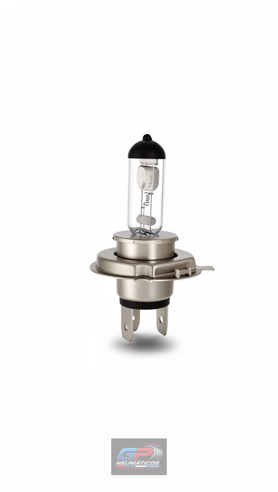 H4 24 75/70W