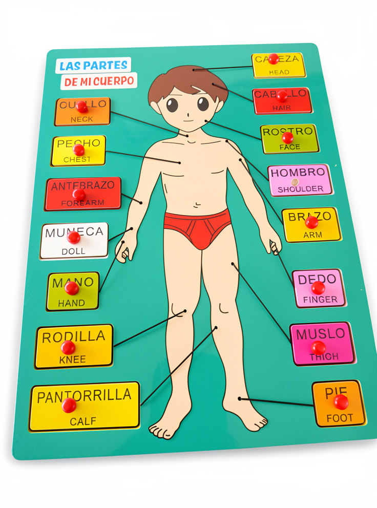 Juego didactico madera partes del cuerpo