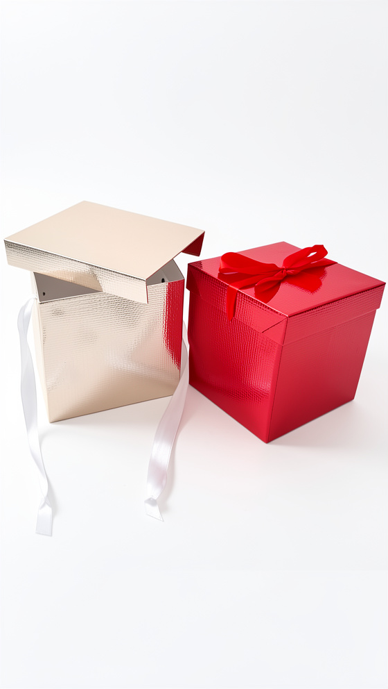 Caja de regalo med. tapa con lazo