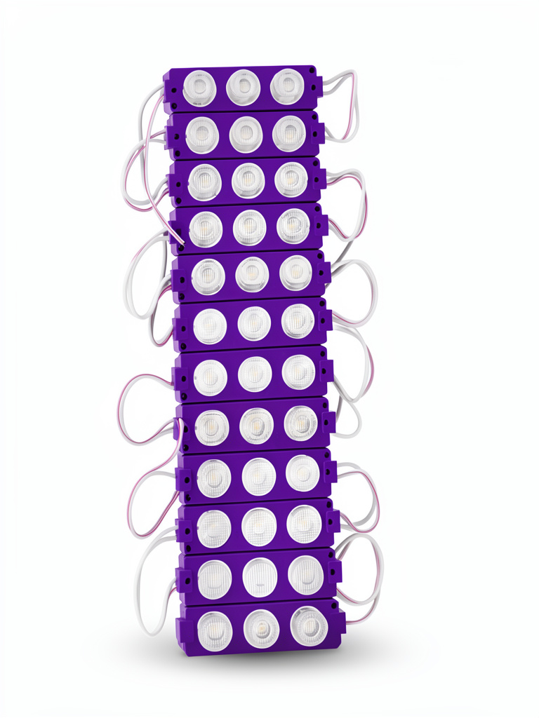 Módulo morado