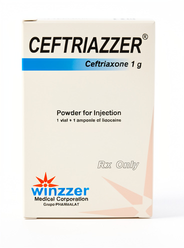 Ceftriazzer 1g amp im