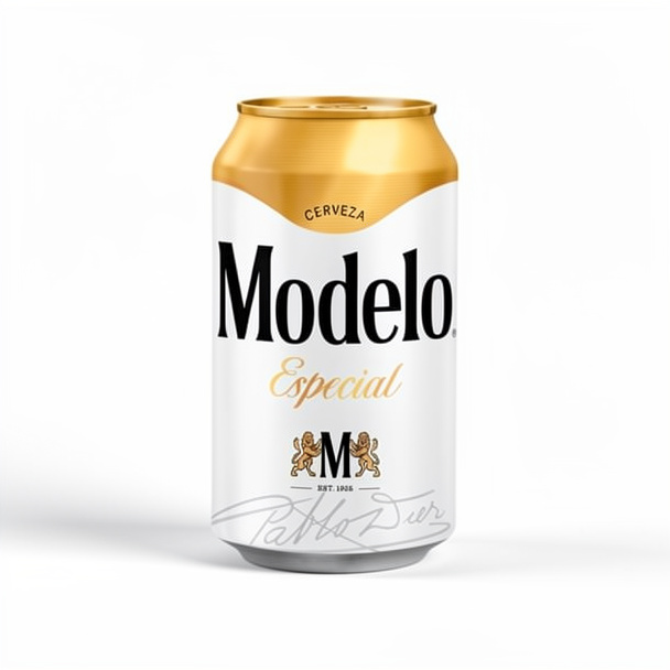 MODELO ESPECIAL