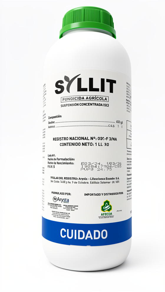 SYLLIT X LITRO