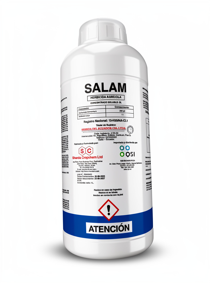SALAM X LITRO