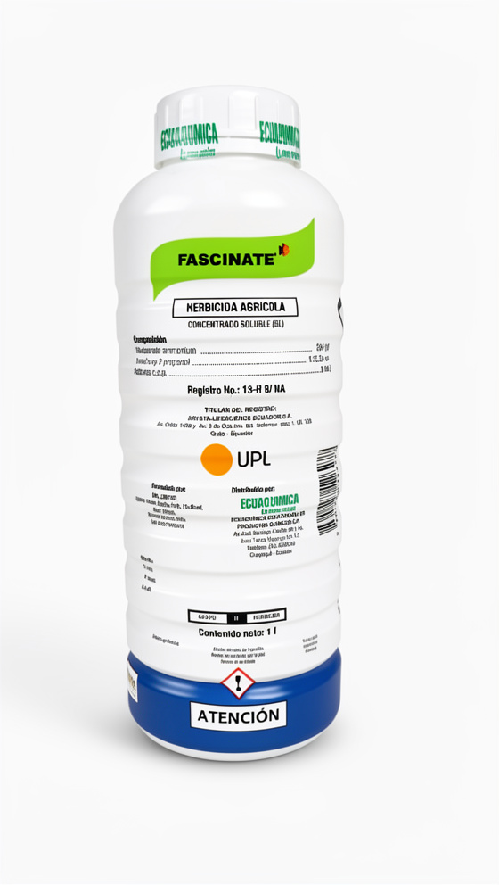 FASCINATE X LITRO