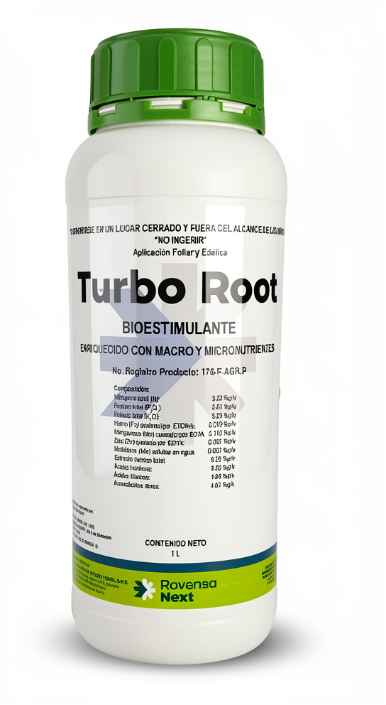 TURBO ROOT X LITRO
