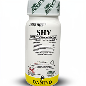 SHY X 100 ML