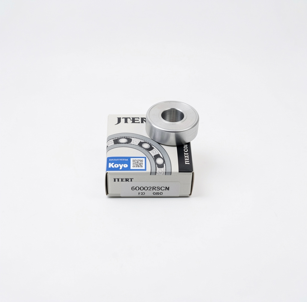 Balinera koyo 60002 RSCM